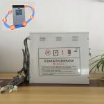 Innovative White 12kw Steam Generator With Stainless Steel Tank and Water Level