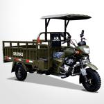Rear Axle Semi-Buoyant Afterburner 60 Bridge Pipe Cargo Motor Tricycle for