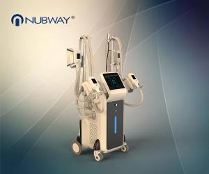 China hot sale professional 4 cryo handles cryolipolysis body slimming machine factory