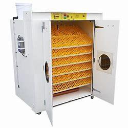 China 31824 Commercial Quail Egg Incubator Automatic Turner Heat Adjustable factory
