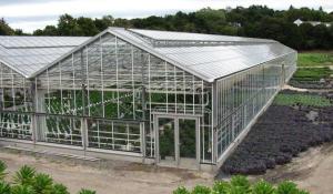 China UP Ventilation Muti Span Sunshade PC Sheet Greenhouse factory