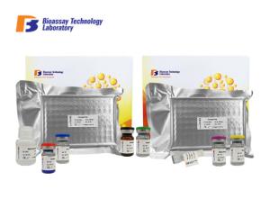 China Sandwich Type Rapid Elisa Test Human Eosinophil Cationic Protein factory