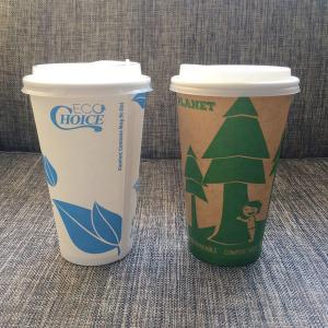 China Pla Coffee Biodegradable And Compostable Tableware Paper Cups 16oz Double Wall With Lids factory