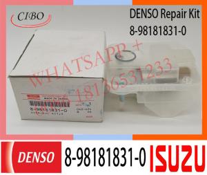 China 8-98181831-0 DIESEL DENSO INJECTOR PARTS REPAIR KIT 294200-0670 294200-3670 FOR for ISUZU MITSUBISHI factory