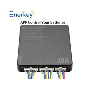 China Lto Li-Ion Lifepo4 Active Battery Equalizer 24V 48V 10A For Solar Energy Storage System factory