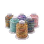 Embroidery Sewing Thread 100% Polyester with High Temperature Resistance in 5