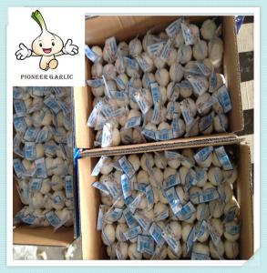 China 2016 garlic/normal white garlic/pure white garlic with cheap price factory