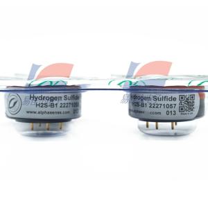 H2S-B1 Gas H2S Sensors Hydrogen Sulfide Sensor Portable Detection Instruments