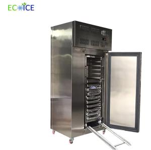 China Frozen Foods Freezer Cabinet Small Shock Quick Blast Deep Freezer Commercial factory