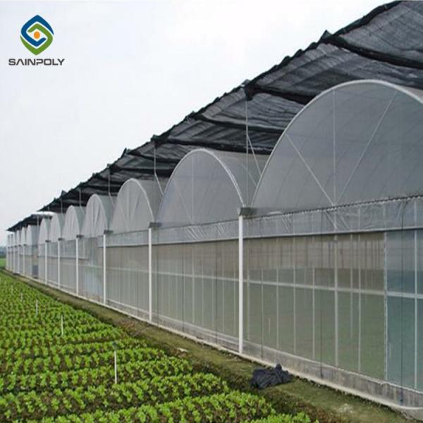 China 10ft Plastic Film Greenhouse With Hydroponic Growing Systems factory