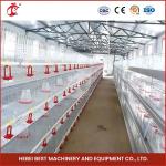 Hot Galvanized Automatic Pullet Baby Chick Brooder Cage 192 Birds 1.2m Length