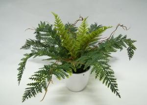 China 28cm Tabletop Artificial Fern Bonsai With 4 Inch White Pot factory