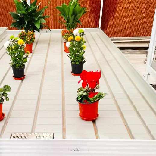 Aluminum Alloy Galvanized Steel Frame Greenhouse Rolling Tables Total Length＞ 7