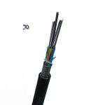 Anti - Rodent Single Mode Fiber Optic Cable Gyts Outdoor Direct Buried 12 24 96