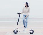 8.5 Inch 2 Wheel Electric Scooter Adult Standing Skateboard 36V 250W Motor Power