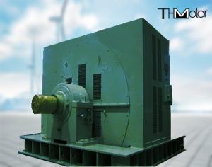 China TM 1300KW Large Scale Synchronous Motor Driving Coal Mill factory