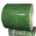 Prepainted Galvanised Steel Coil 0.21mm - 0.22mm GI Coil Sheet