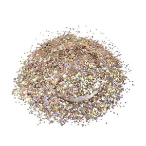 China Super Shiny Epoxy Chunky Champagne Glitter PET Solvent Resistance Customized factory