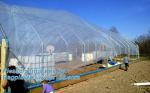 plastic film agriculture greenhouse,6 mil poly anti-uv plastic greenhouse film