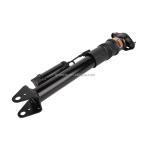 2513203031 Auto Parts Rear Air Suspensions Shock Absorber for Mercedes 251 R280