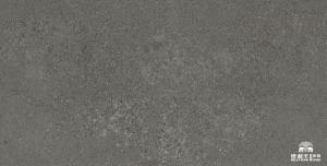 China Matt Surface Non Slip 1600*3200mm Cement Look Porcelain Tile factory