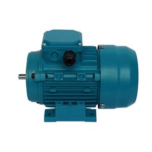 China 0.12HP Three Phase AC Electric Motor 0.09KW 230/400V 1400RPM 4 Pole MS562-4 factory