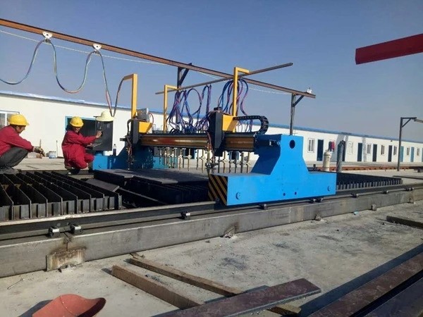 China Multi Head Strip Gantry Type CNC Plasma Cutting Machine factory