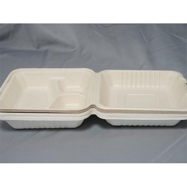 China 8" 9" 3 Compartment Biodegradable Food Boxes Bagasse Hinged Container factory