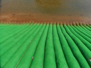 China 350gsm Erosion Control Blanket Sand Filled Mattress For Slope Protection factory
