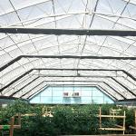 Agricultural Tunnel Fully Automated Light Deprivation Greenhouse Single-span