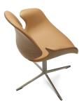 Council chair