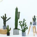 18cm All Season Artificial Potted Floor Plants Mini Bonsai Succulent Countertop