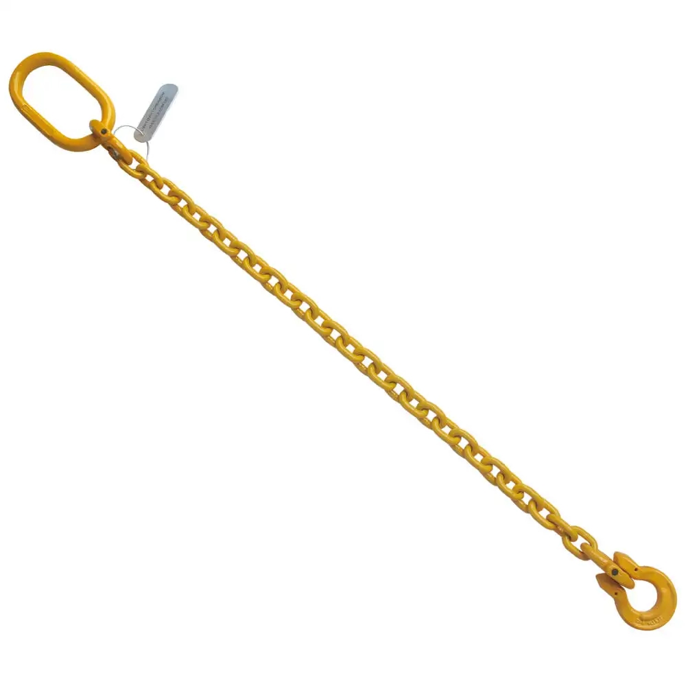 High Capacity G80 Double Leg Lifting Sling Chain with 48kN Test Load and Black Finish