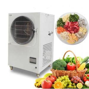 Multifunction Industrial Food Freeze Dryer Mini Vacuum Food Lyophilizer
