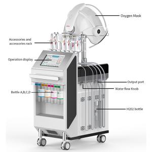China Skin Tightening Wrinkle Removal 100v Multifunction Beauty Machine For Salon Massage factory