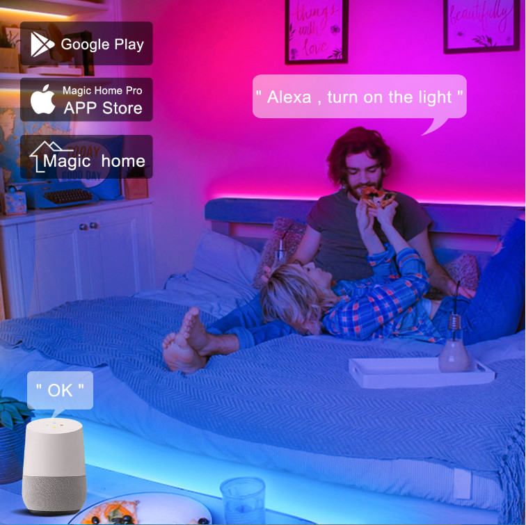 SMD 5050 IP65 Waterproof RGB Flexible Smart LED Light Strip 12V 5A Power Supply