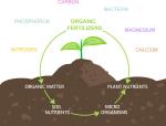 NaturaGrow 16%N Organic Amino Acid The Bio-Engineered Revolution in Sustainable