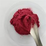 Wholesale Elderberry Powder For Instant Tea Powder