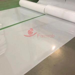 China Low Elongation Customizable Manure Removal Belt Long Service Life For Poultry Raising factory