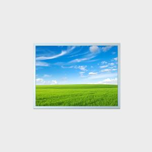 China 15 Inch LCD Display Panel 1024*768 Waterproof LCD Screen For Advertising Outdoor factory
