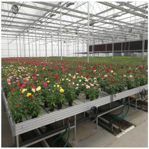 China Plastic Bench Hydroponic Grow Bed Greenhouse Rolling Growing Table factory