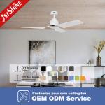 White ABS Blades No Light DC Motor Ceiling Fan With Remote Control