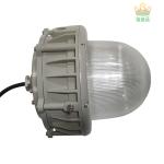 50-100W Explosion Protected LED Light Fixture With Meanwell Driver For Outdoor