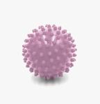 Best price hiah quality yoga exercises the feetSpiky Massage Ball