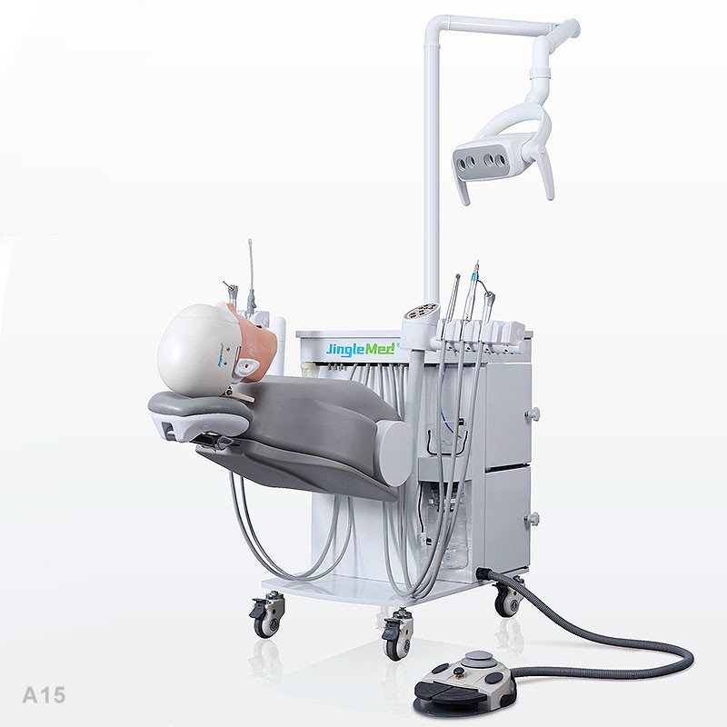 Storable Phantom Head Dental Simulator Unit Multifunctional Removable
