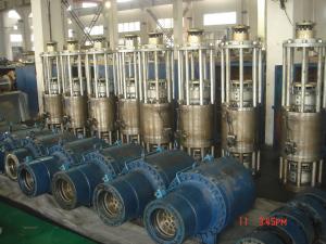 China Corrosion Resistance Heavy Duty Hydraulic Cylinder For Nuclear Power Station factory
