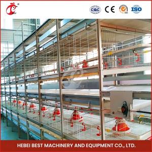 China Maximize Rearing Efficiency With Chicken Husbandry Cage System Cage Type A Rose factory