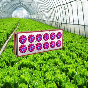 China High Power LED Grow Light,High Power LED Grow Lamps factory