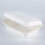 Disposable biodegradable food container clamshell, meal box