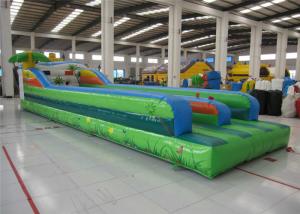 China Attractive Inflatable Bungee Jump / Runway , Kindergarten Baby Bungee Run Bounce House factory